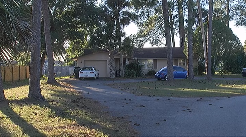 Man stabbed to death had connection to Natalee Holloway