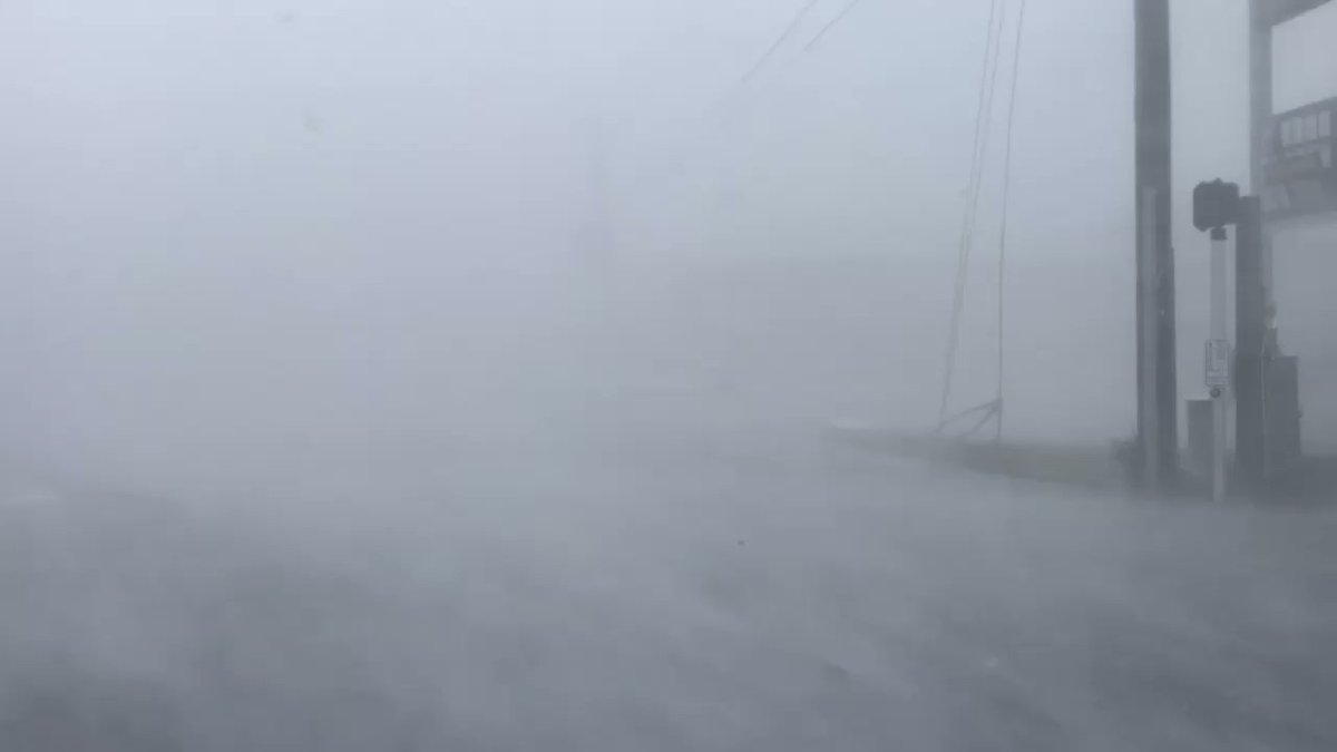 Catastrophic wind in eye wall of Hurricane Michael in Panama City Beach eastern tip @breakingweather @accuweather   
