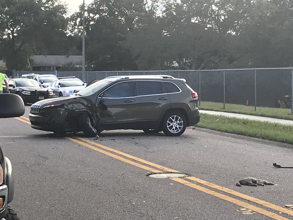Troopers believe driver of SUV may have swerved to avoid dead cat in the road and went into bus lanebus then tried to avoid crash, struck SUV and went through the fence