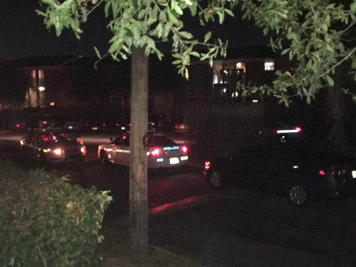 An elderly man was beaten and carjacked prior to a deadly officer-involved shooting at Hilltop Village Apartments in Jacksonville