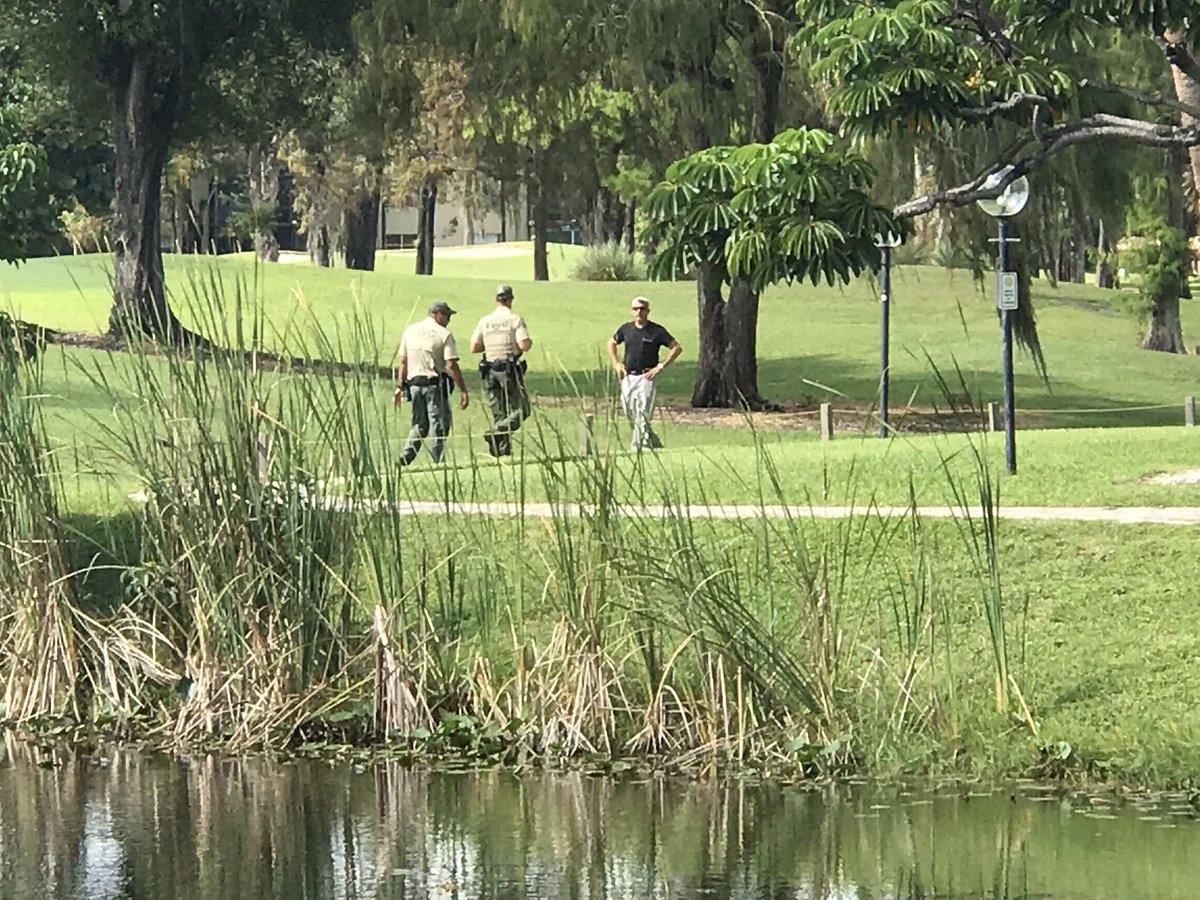 In Lauderhill MyFWC searches for evidence a Bobcat attacked an elderly couple out on their morning walk. Both are listed in fair condition at Broward Health Medical Center