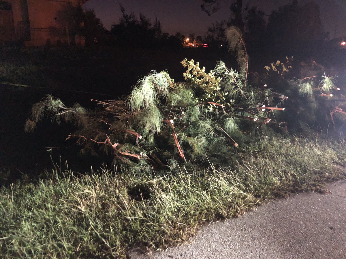 Waste Pro crews are out here picking up debris like braches, fences and roofs 