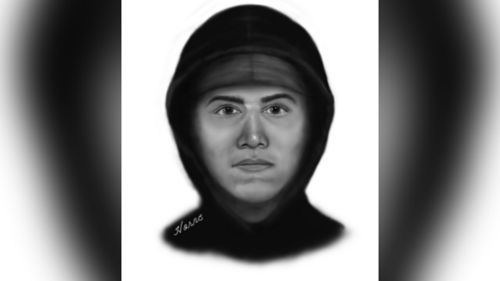 Deputies release sketch of suspect wanted in Orange County rape attempt