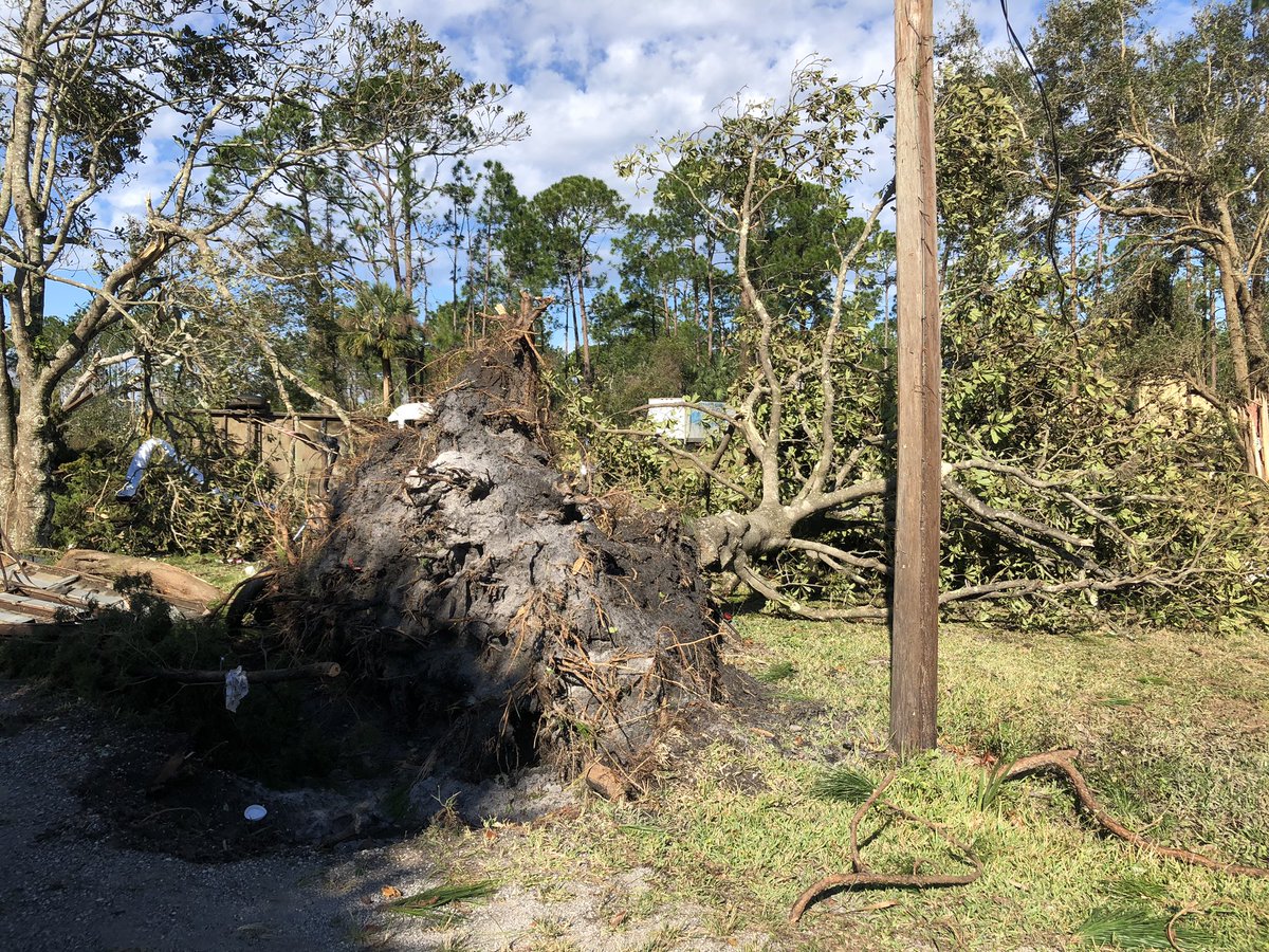 A look at some of the storm damage on Trojan Avenue off of US-1 in FlaglerCounty. Trees completed ripped out of the ground. and that is a scooter crushed underneath