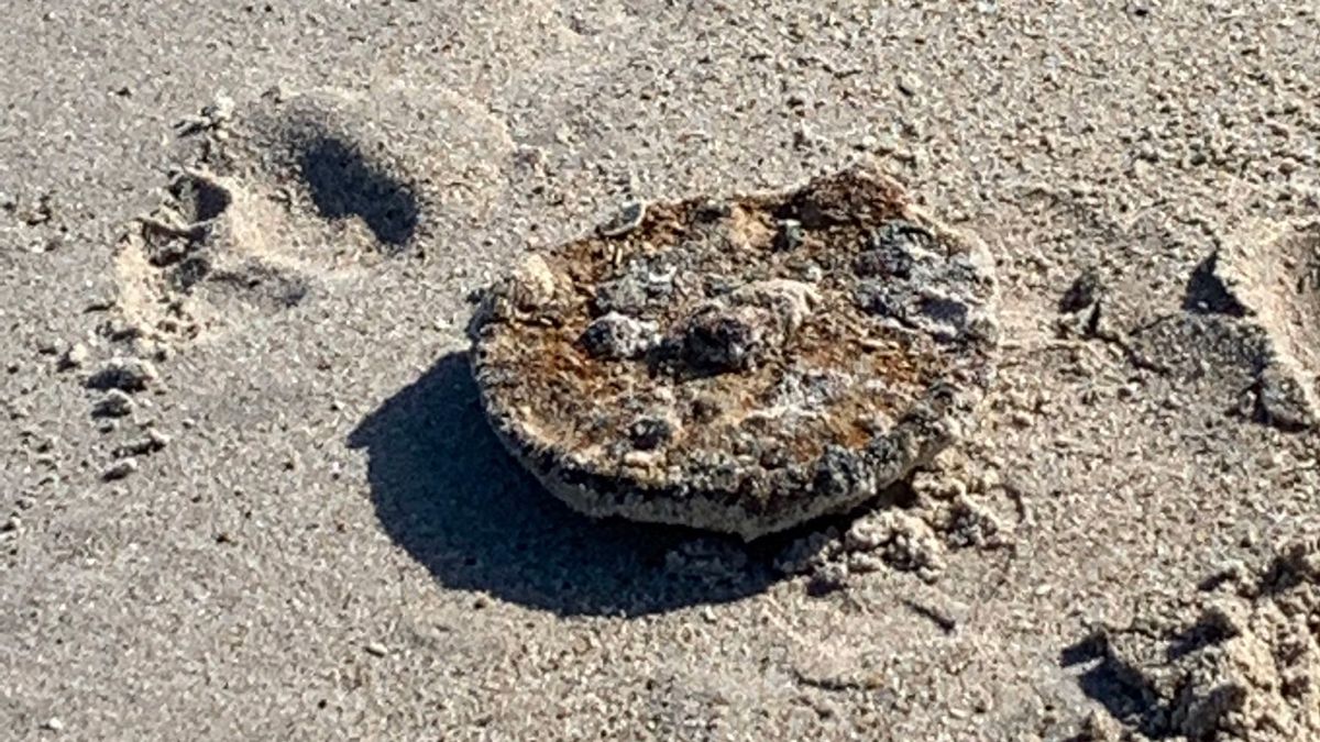 A Florida man was using his metal detector on Vero Beach when he detected something that required the assistance of Patrick Air Force Base explosive experts, according to the Indian River County Sheriff’s Office.