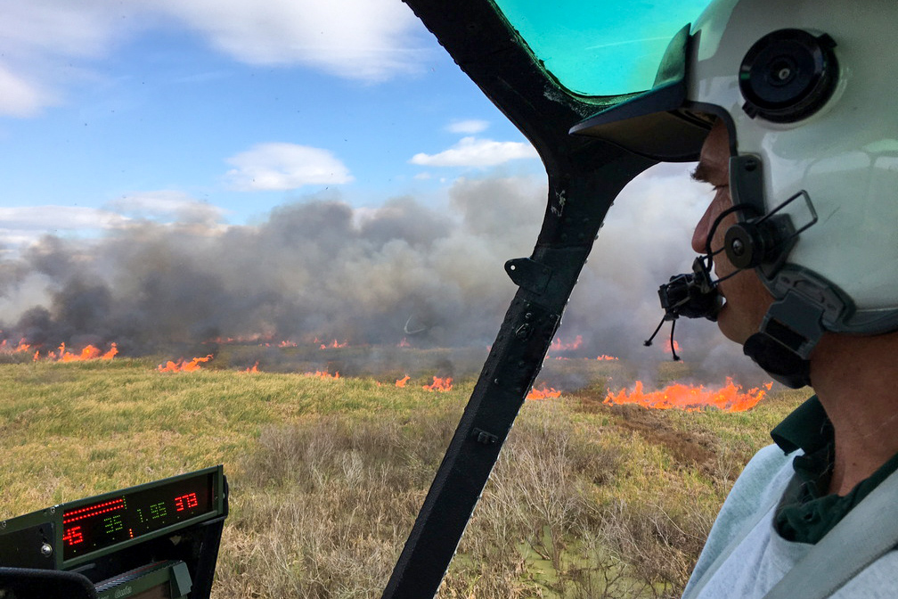 Prescribed fire today at Lake Apopka North Shore