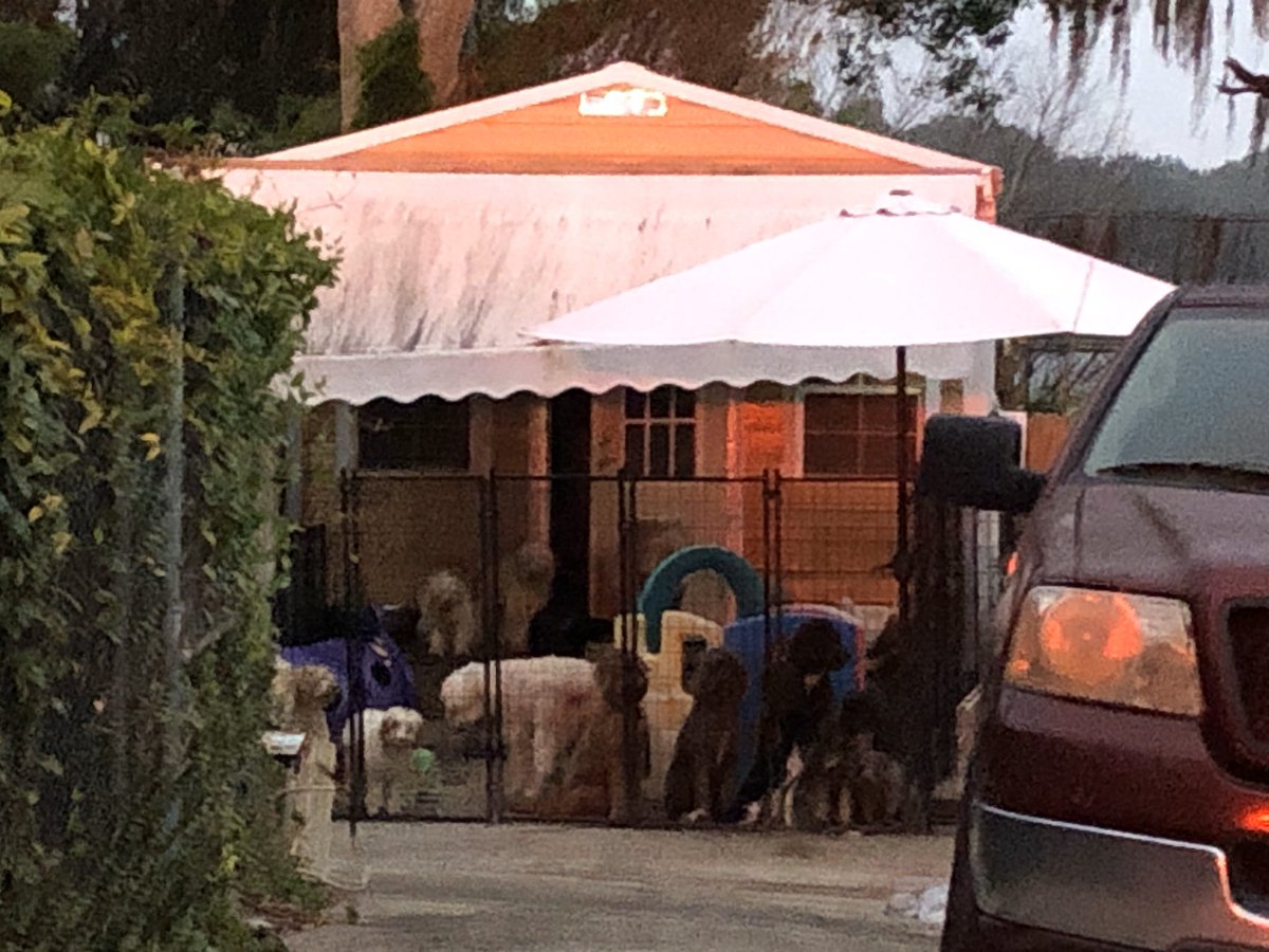 Nineteen dogs are believed to be dead after a house caught fire on Bay Lake Road Thursday morning, officials said. the fire occurred at the home of a local dog breeder.