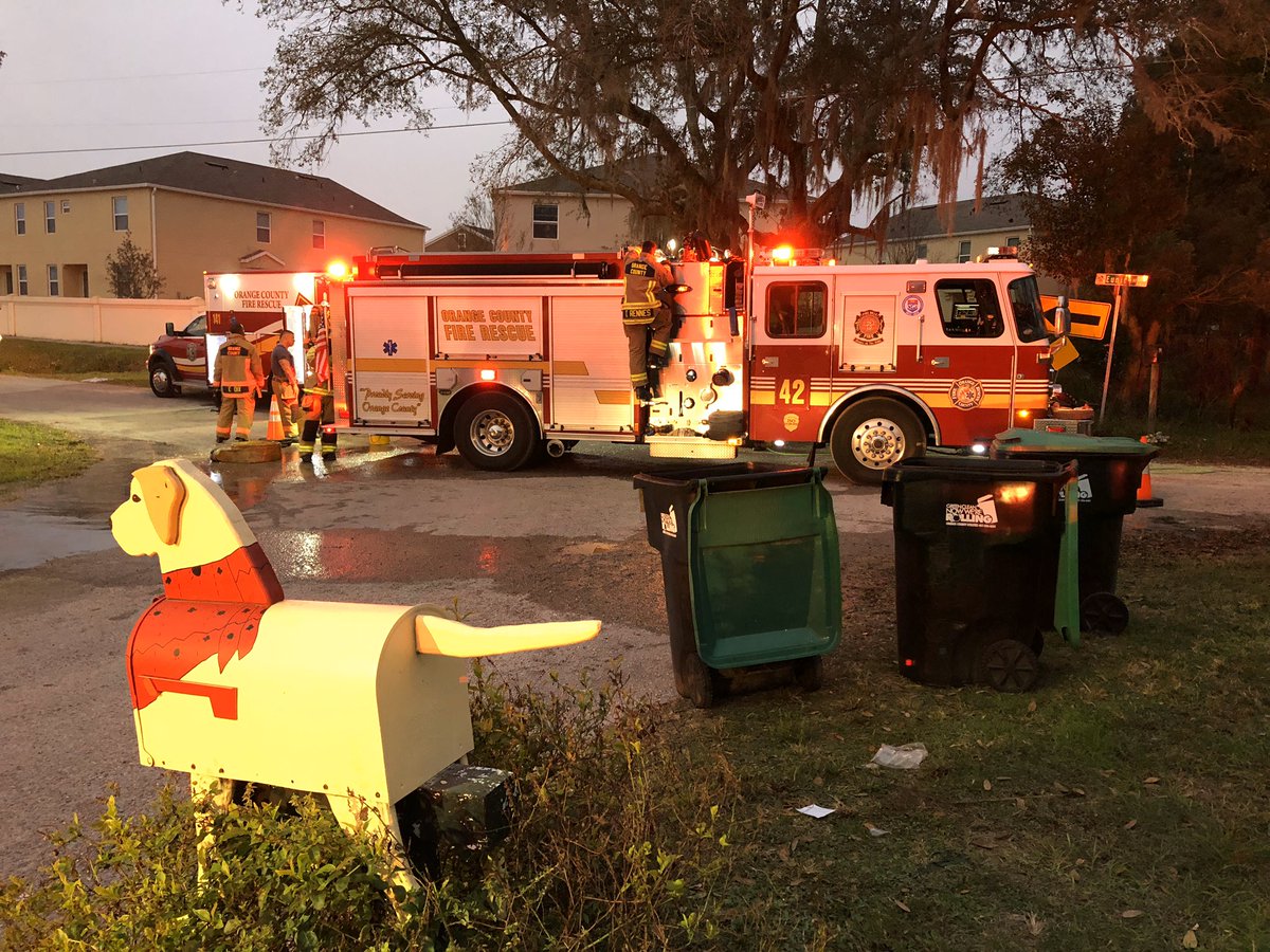 Nineteen dogs are believed to be dead after a house caught fire on Bay Lake Road Thursday morning, officials said. the fire occurred at the home of a local dog breeder.