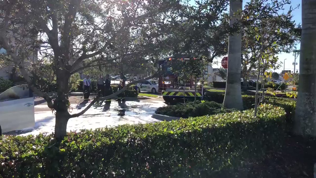 A car in Fort Myers goes up in flames - luckily no one was injured