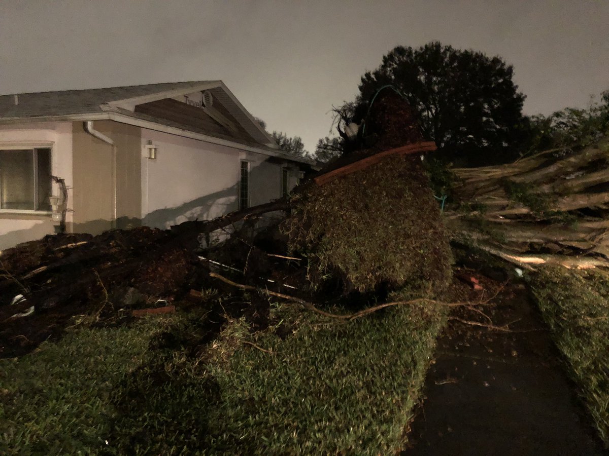 Tree down in the Lakes in Clearwater, Florida