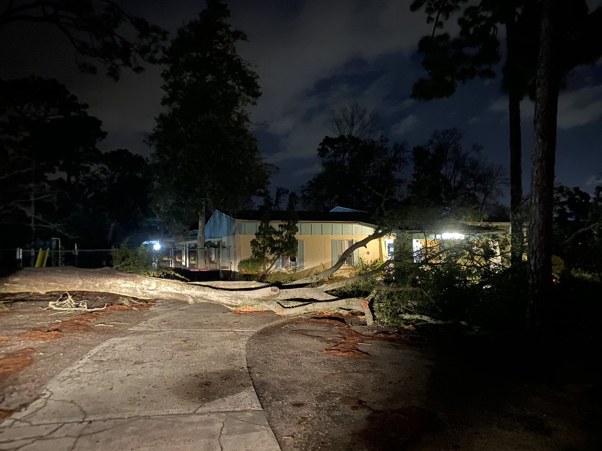 A massive tree down outside a Kindergarten in Orange Park due to last nights storm. A tree also came down on a classroom in the back 