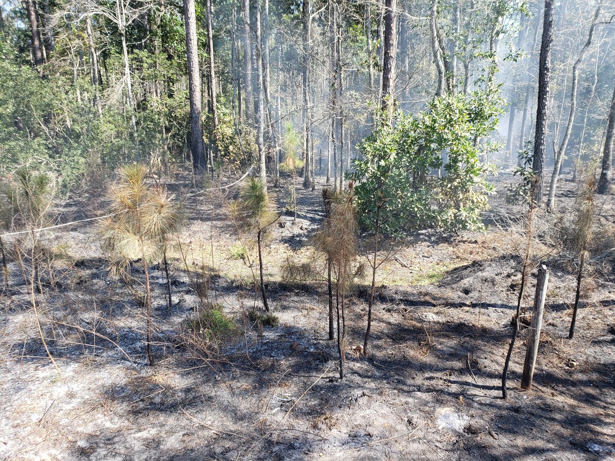 Brush fire on Ron Road in Green Cove Springs