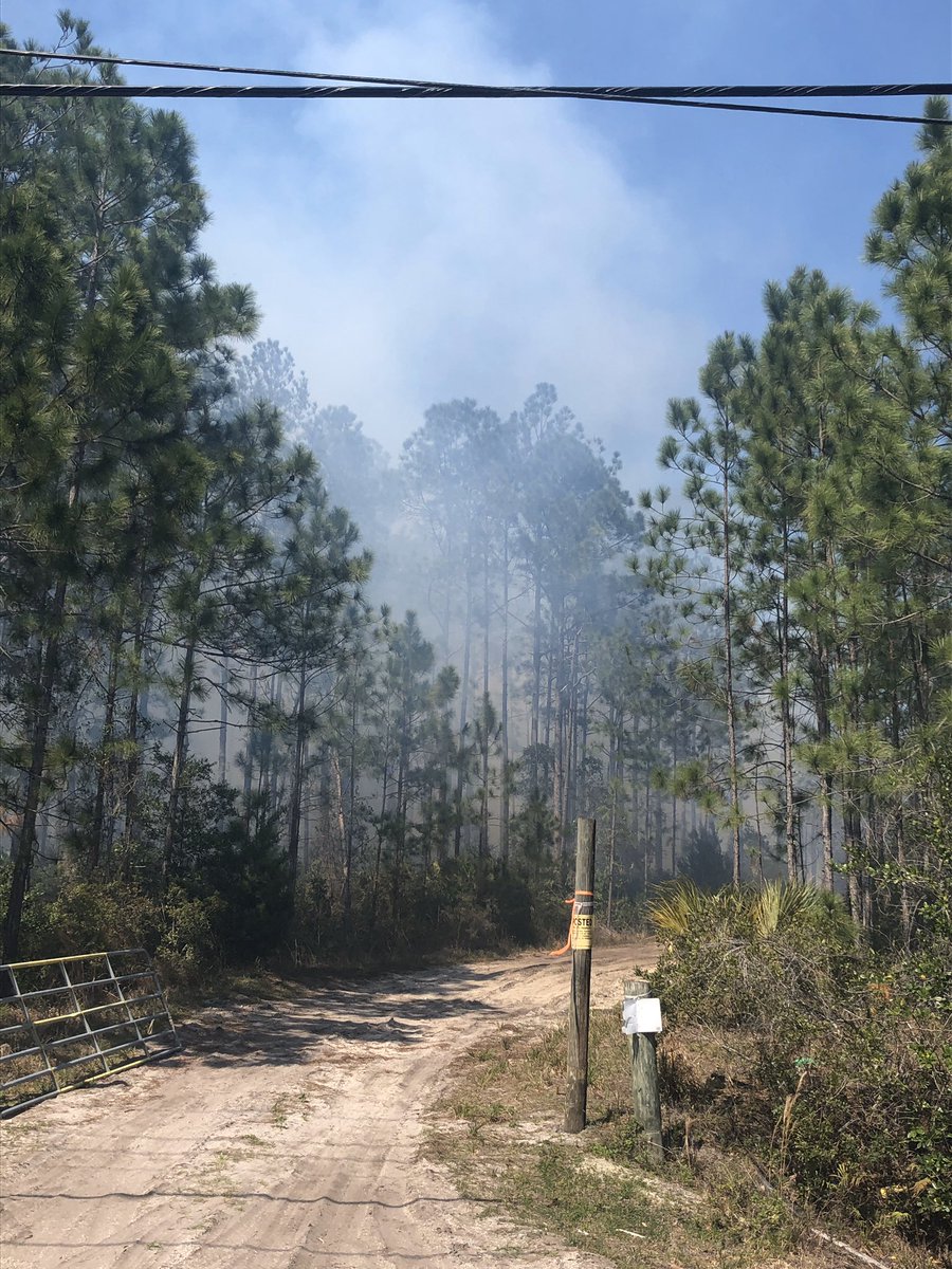 2:03 pm Current acreage estimates have the fire around 8 acres.  The division of forestry has 3 plows on site and has a containment line around the fire.  Wind and smoke continue to be an issue but there are no structures currently in danger