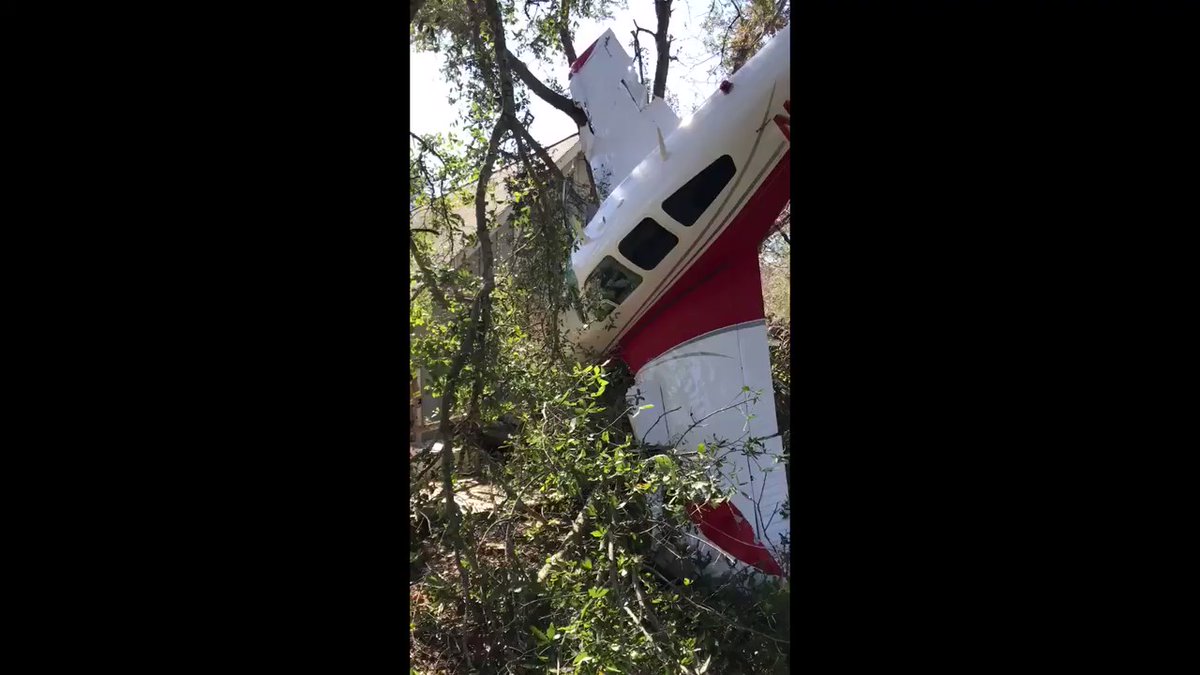 The small plane crash-landed nose first in a tree in the Florida Panhandle