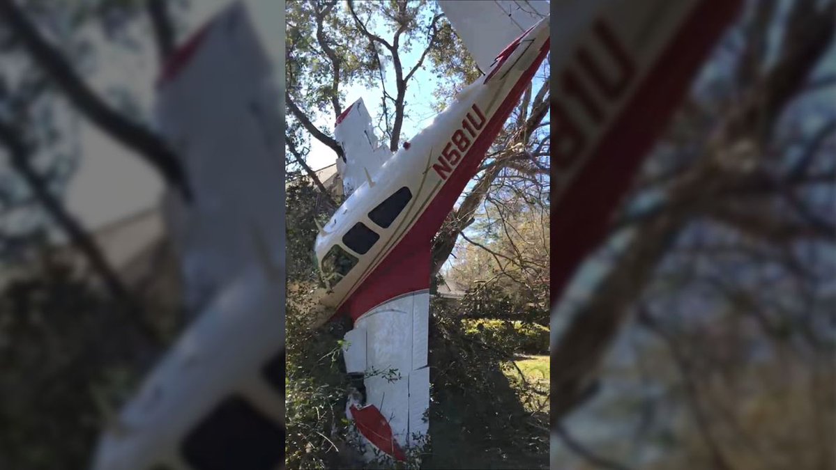Father, son, dog walk away from small plane crash in Florida