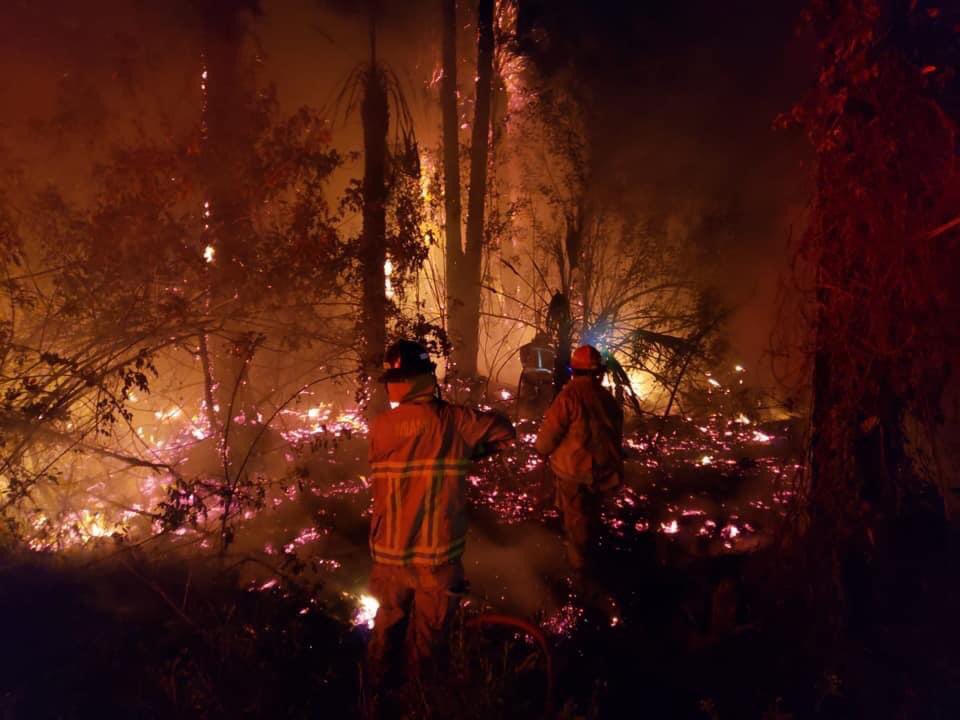 Two combined 4,000-acre brush fires are burning in Collier County this morning. Firefighters with @CityofMiamiFire snapped these pics as they help battle the blaze. The fire in Golden Gate Estates has closed parts of 75 and forced mandatory evacuations.