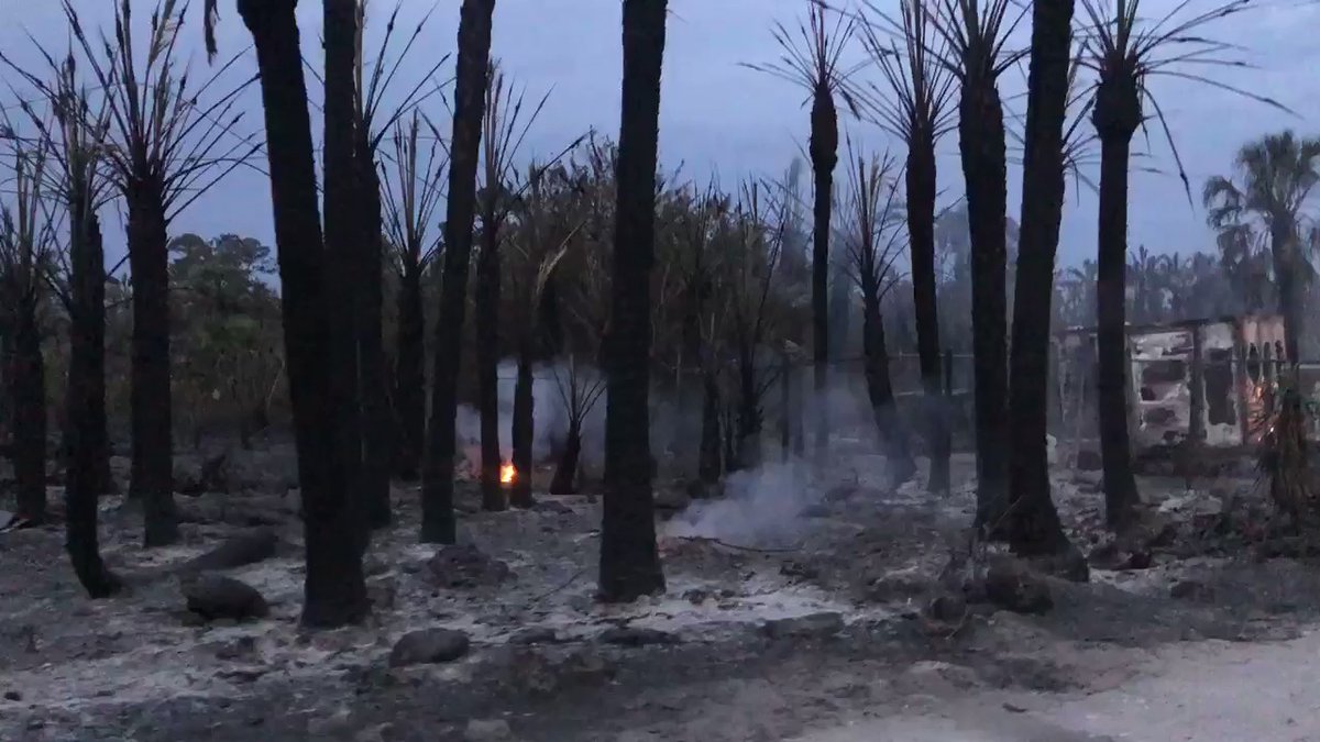 These fires in Golden Gate Estates. Getting a closer look this morning at the damage