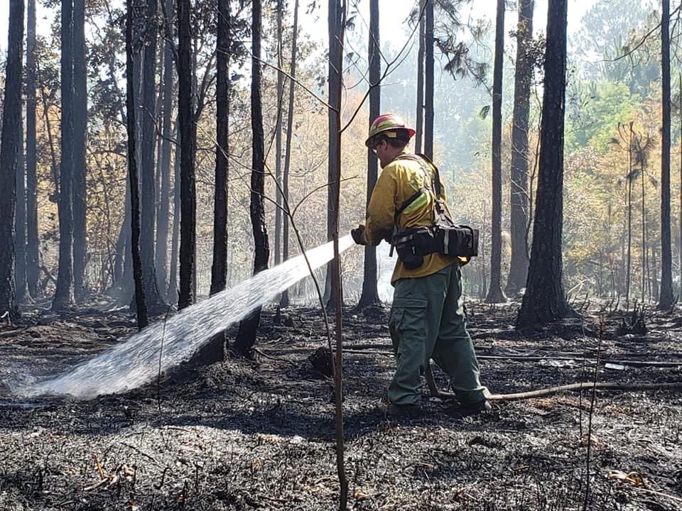 FFS_Jax says San Pablo brush fire is 100% contained. It burned 5 acres coming within 100 feet of homes. Crews are   working on mop-up procedures. Smoke is to be expected throughout the wknd. Cause of fire is under investigation.
