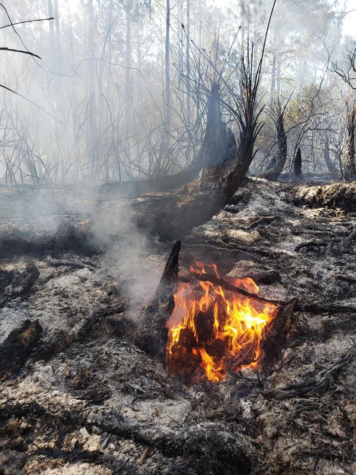 FFS_Jax says San Pablo brush fire is 100% contained. It burned 5 acres coming within 100 feet of homes. Crews are   working on mop-up procedures. Smoke is to be expected throughout the wknd. Cause of fire is under investigation.