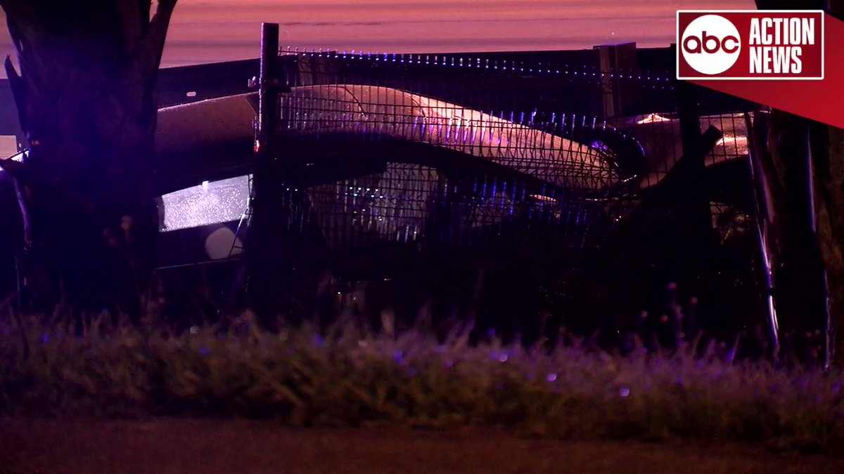Troopers say they're investigating a shooting and related car crash this morning. The on-ramp to I-4 westbound from 21st St is closed. FHP is asking for anyone with information on this scene to give them a call. 