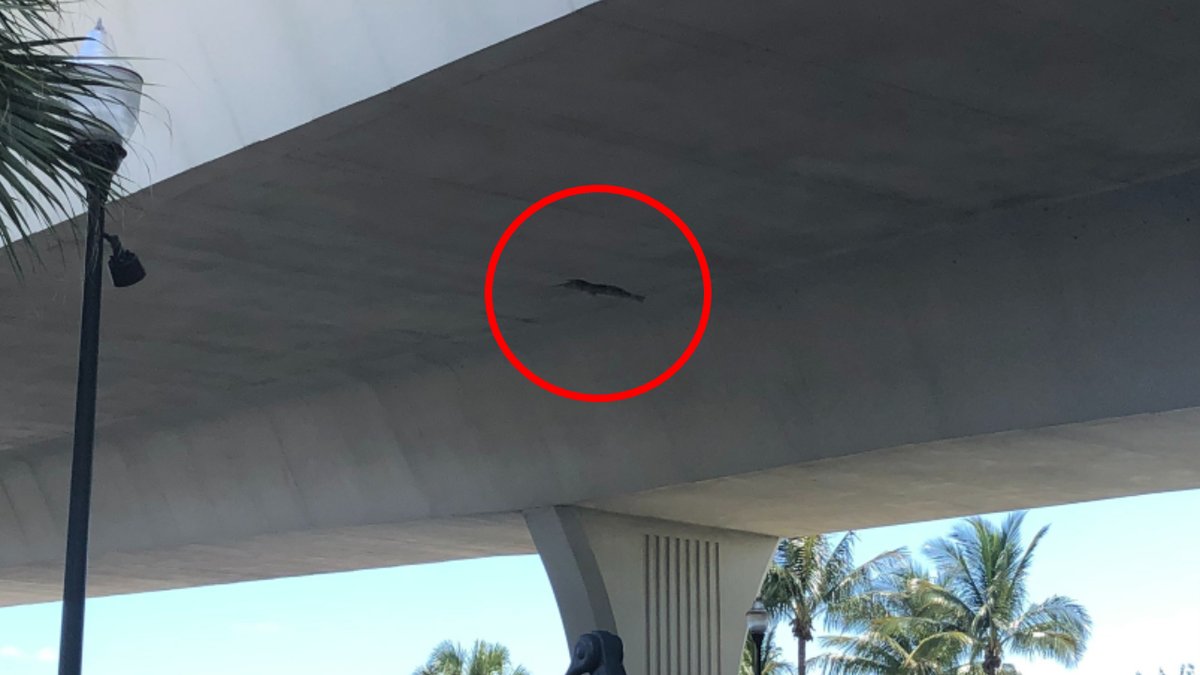 All lanes of Roosevelt Bridge, at 'risk of an imminent collapse,' shut down