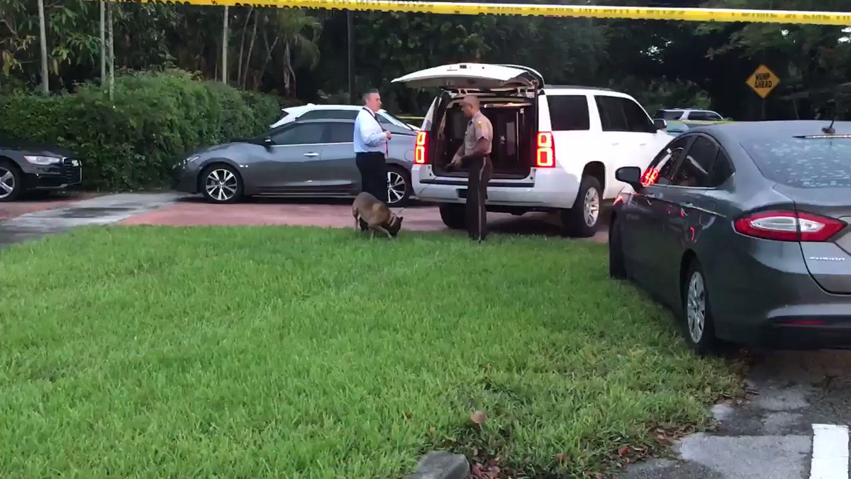 Police just put a canine on the scene in Miami Shores where a man says someone shot his daughter to death inside a car 