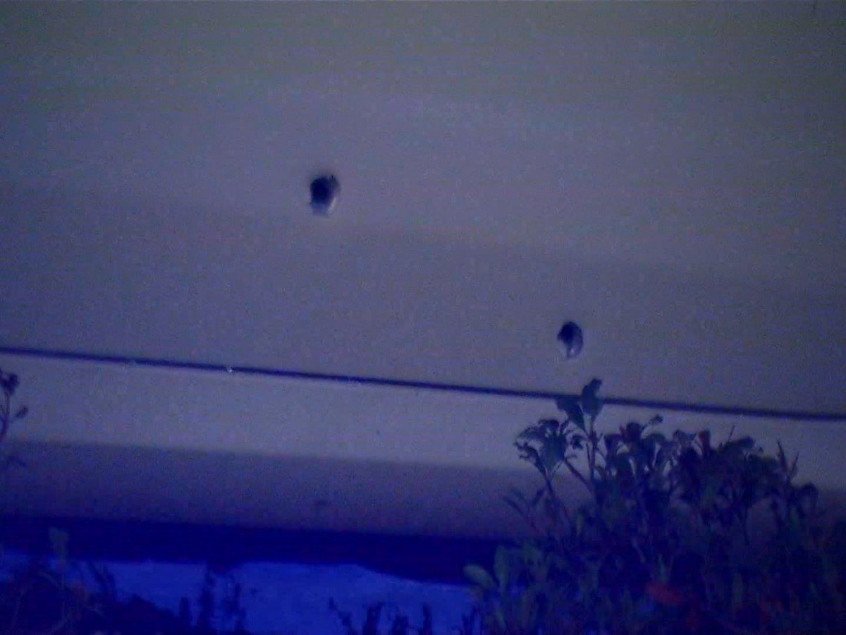 Here's a closer look at the bullet holes on the Hyundai. This is all on the passenger side door and window.