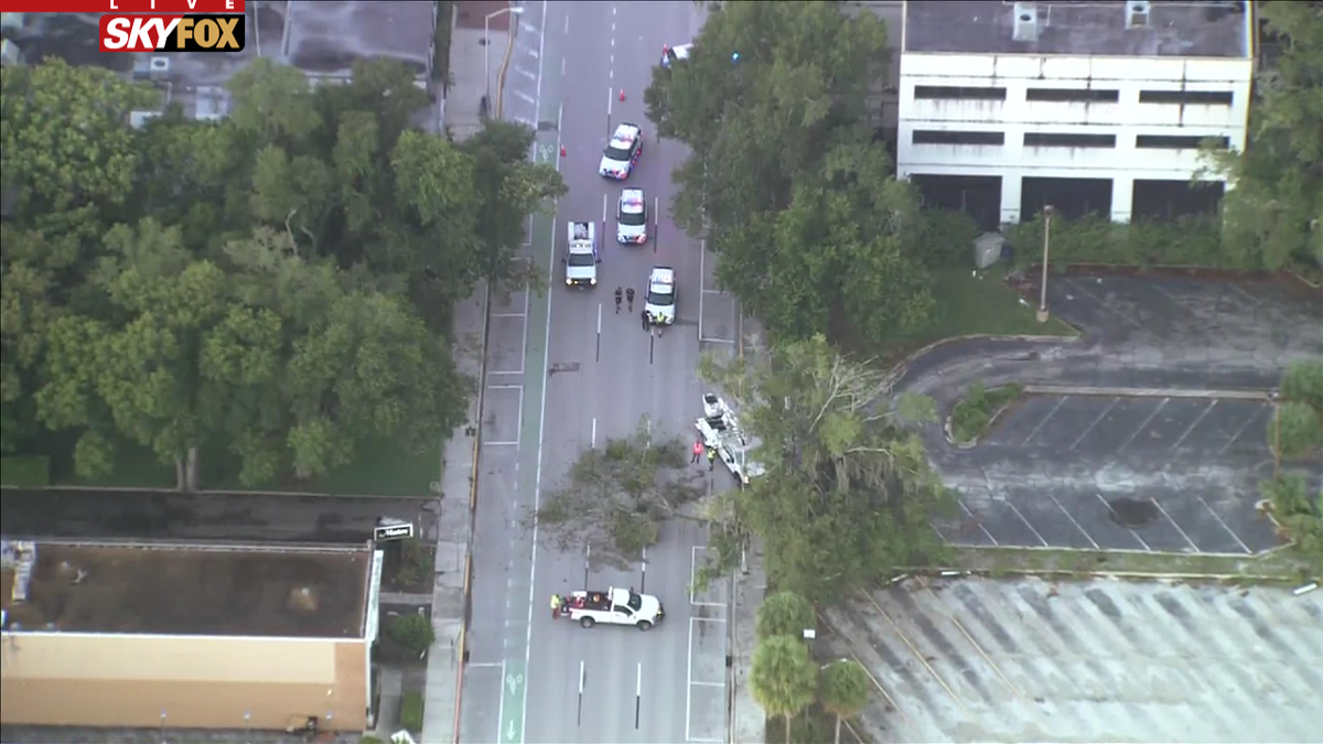 A tree is blocking Magnolia Ave, just south of Colonial. ALT: Mills Ave