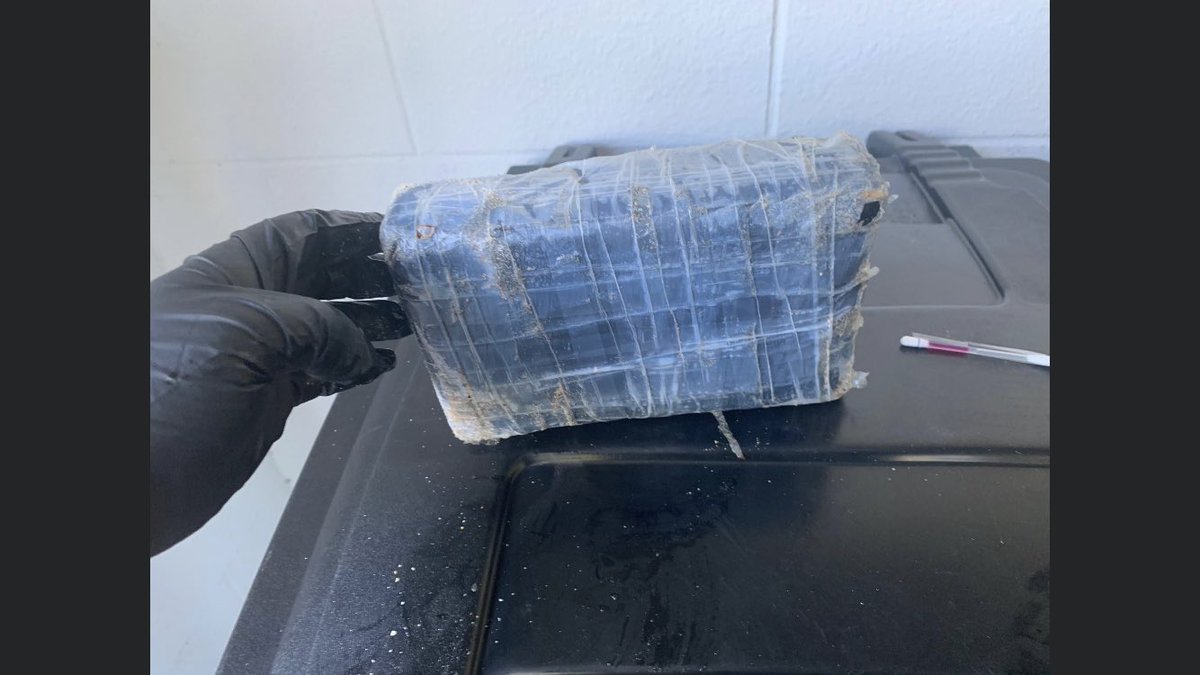 Family on vacation in Palm Coast discovered over a kilo of cocaine that washed up on the beach south of Cinnamon Beach Lane Friday. Family at first thought it was a freezer pack. No other packages have washed up so far