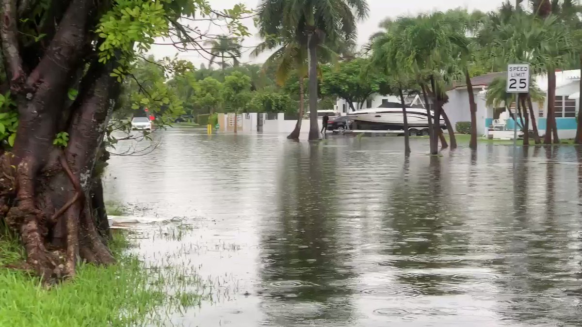 Heavy rain caused several streets in Hollywood to flood. Several cars are stalled out near Moffett Street and 14th Avenue
