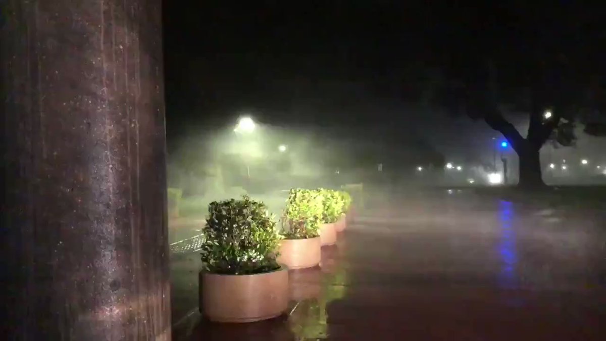 Video of winds whipping through Downtown Pensacola at over 100 MPH this morning  HurricaneSally Pensacola