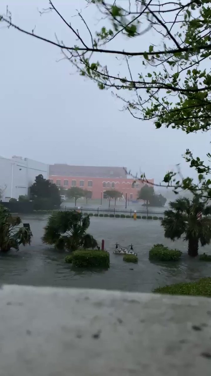 East Side video Sally pensacola beach 