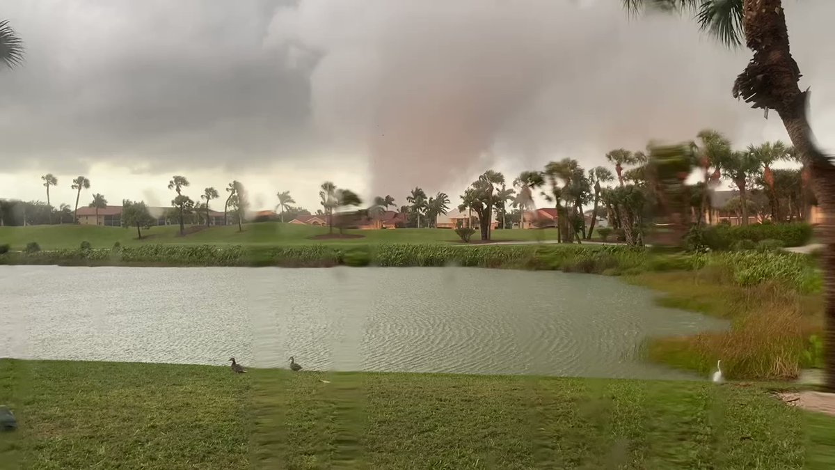 Viewer Peter Thorp sent us this video from the Iona McGregor area, specifically the Kelly Greens community