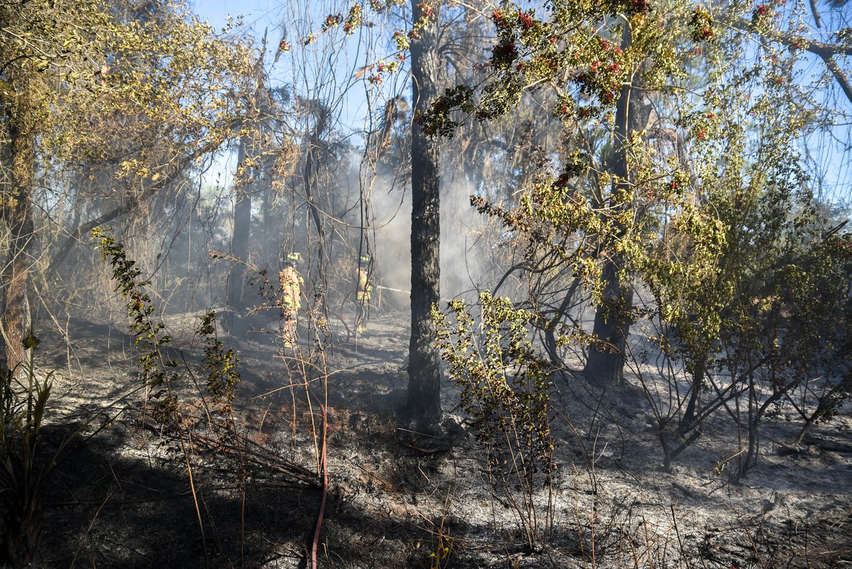 Brush fire season is back. This is a friendly reminder to be extra careful with any open flames & to fully extinguish any smoke materials.  On Friday, we fought a fire on the corner of U.S. 41 and Toledo Blade. It was about an acre large. No homes or businesses were in danger