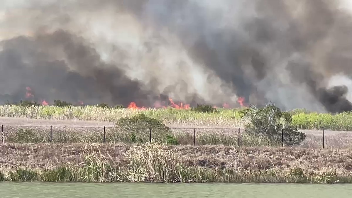 Ellis Rd I-95 fire now 5 acres. Crews on scene. We see heavy smoke and flames. Winds pushing to west in the area of St John's Heritage Parkway.