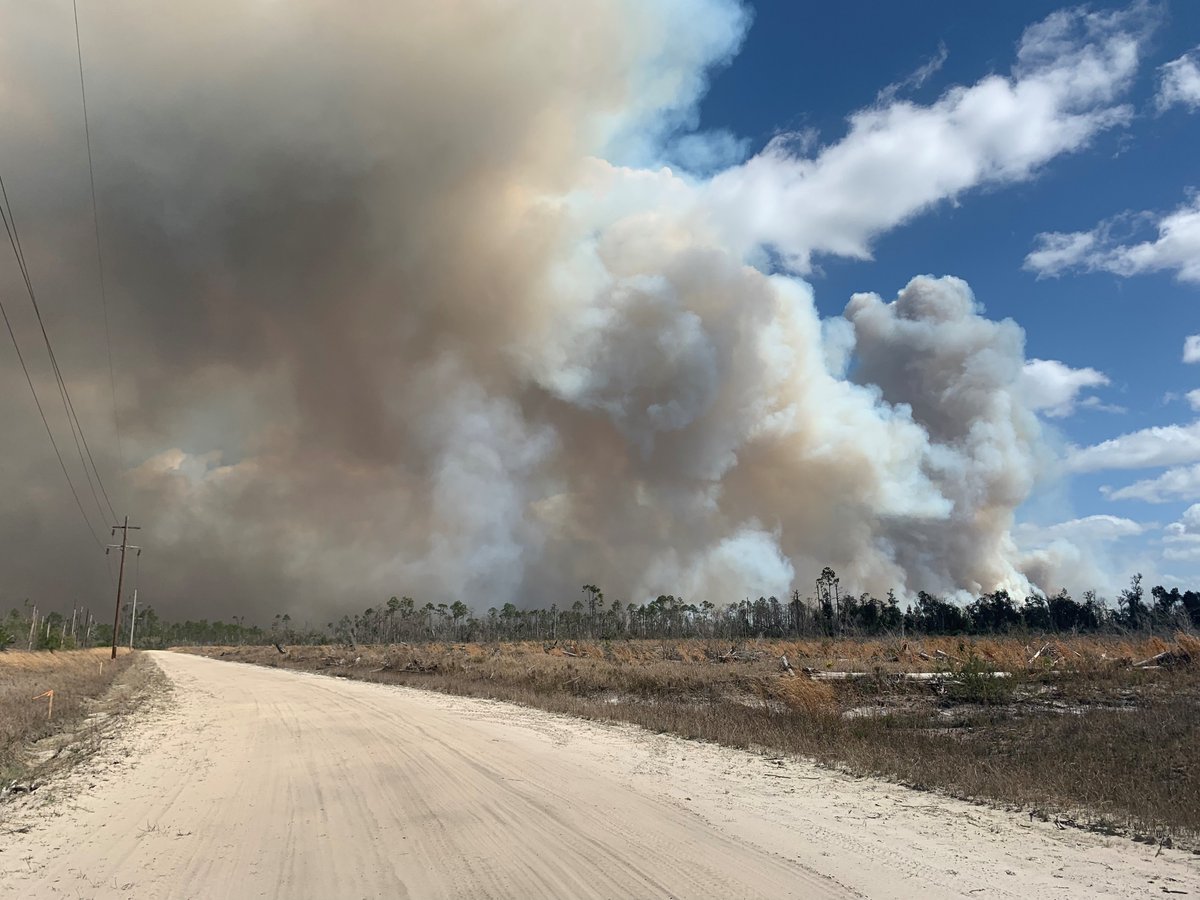 Florida Forest Service Officials told NewsChannel 7 that as of 9 a.m. this morning:  Bertha Swamp Road fire is 33,047 acres and 10% contained.  Adkins Avenue fire is 875 acres and 80% contained.  Star Avenue fire is 197 acres and 80% contained