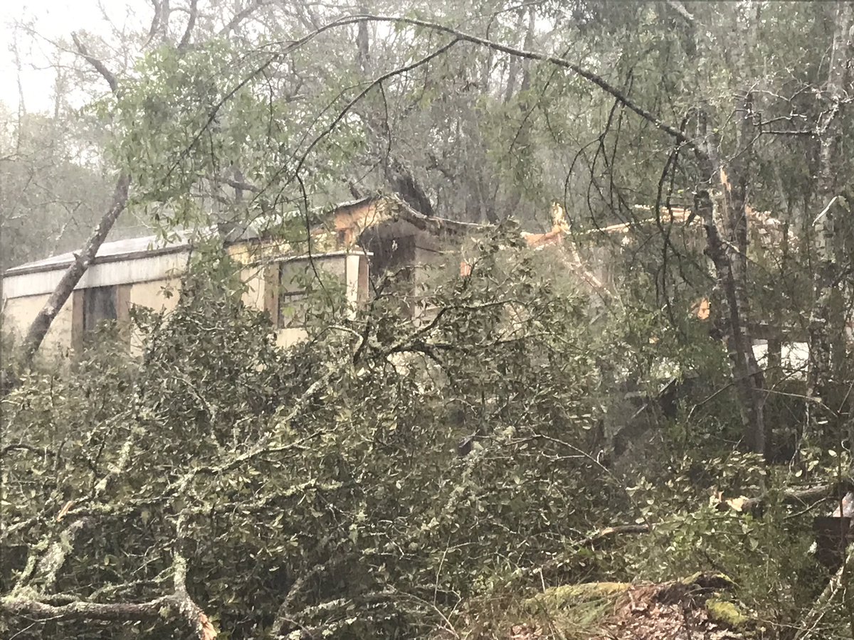 A tree smashed a mobile home in Holt this afternoon during severe storms. Okaloosa County deputies received reports of a possible tornado in the Log Lake Rd 