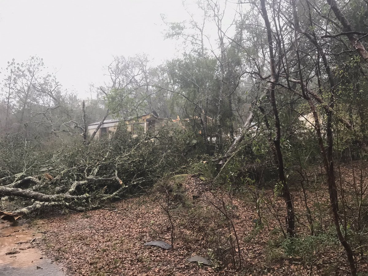 A tree smashed a mobile home in Holt this afternoon during severe storms. Okaloosa County deputies received reports of a possible tornado in the Log Lake Rd 