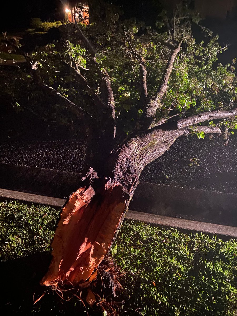 Damage from Cantonment, FL in Escambia County and damage across the county line in Pace (Santa Rosa County)   A lot of trees down, hearing about outages in Santa Rosa County   