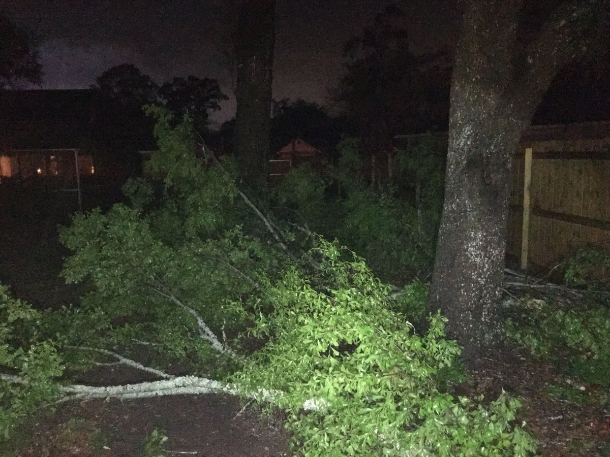 Damage from Cantonment, FL in Escambia County and damage across the county line in Pace (Santa Rosa County)   A lot of trees down, hearing about outages in Santa Rosa County   