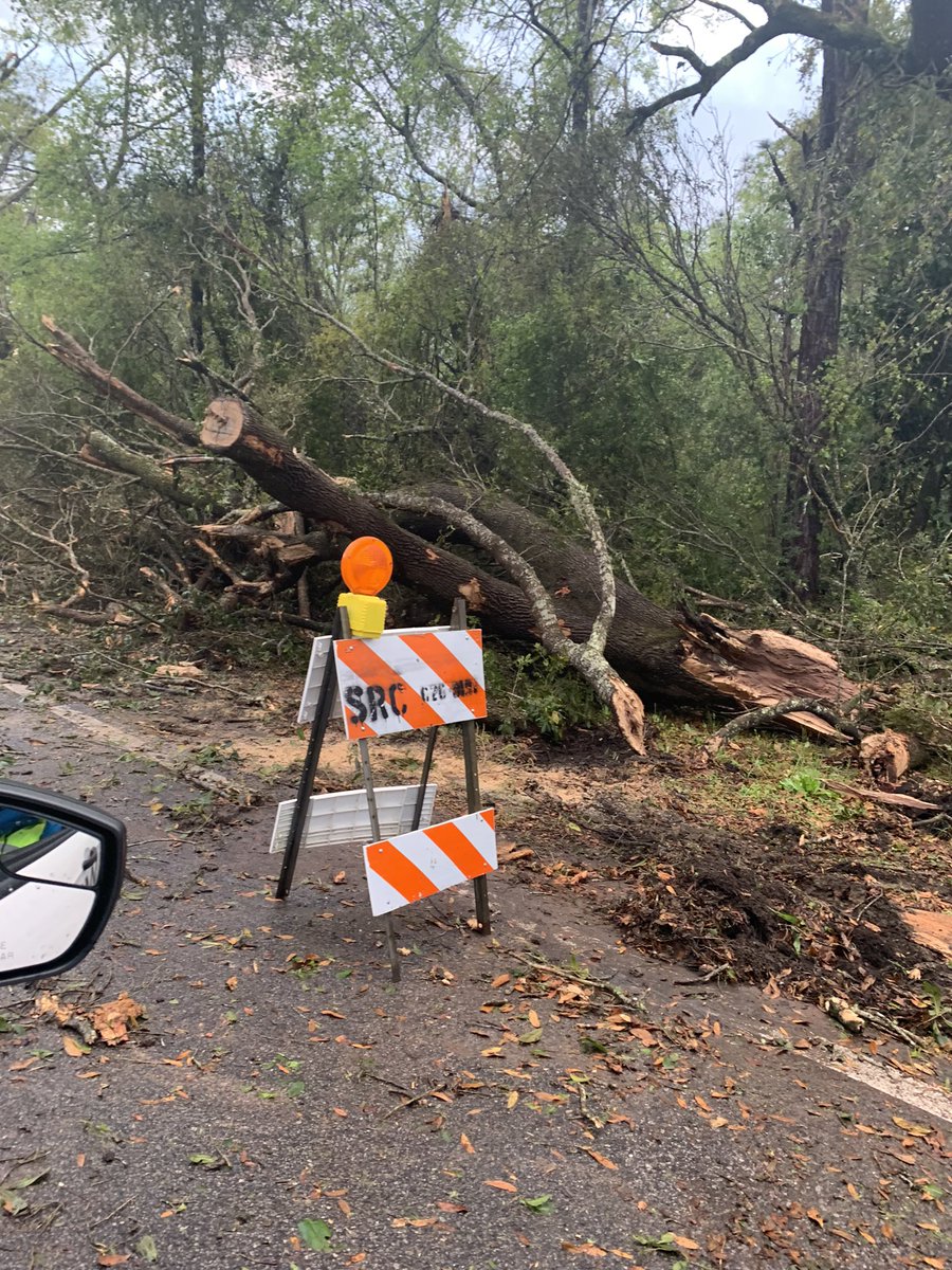 Trees are down on North 14th Avenue in Milton. One neighbor says they've been without power since 1 a.m.   