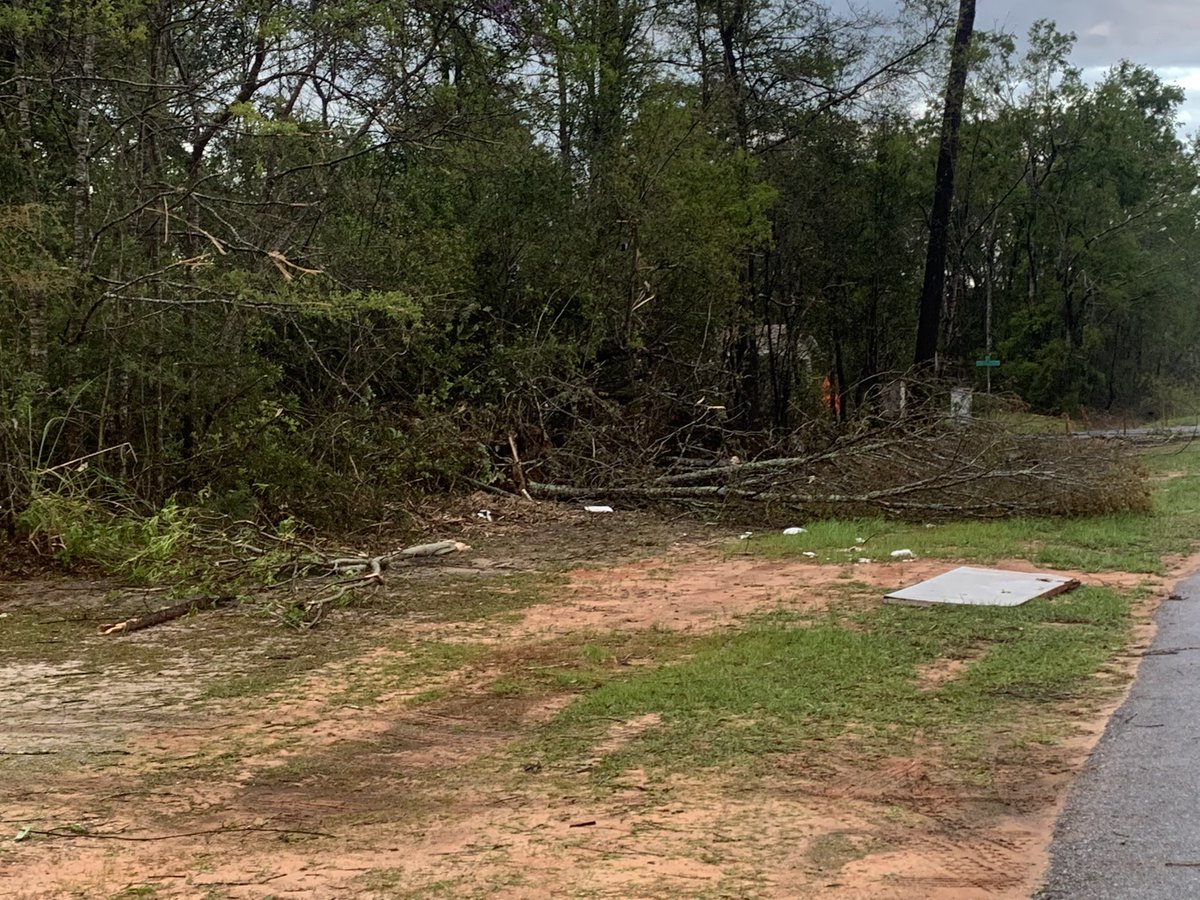 Trees are down on North 14th Avenue in Milton. One neighbor says they've been without power since 1 a.m.   