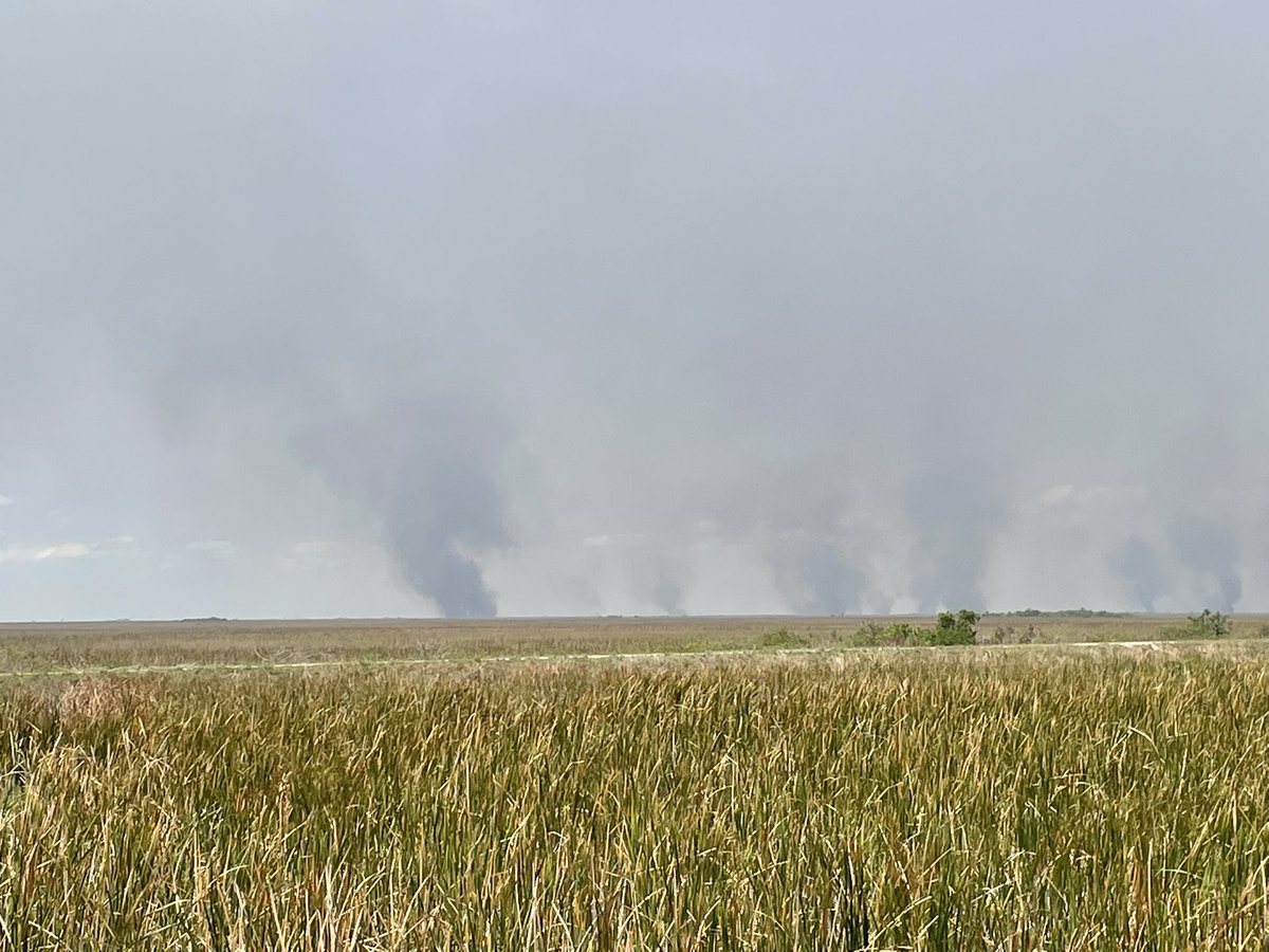 Brushfires by the Broward County/Palm Beach County Line right now. Coral Springs for the 12pm show, airborne crew are assessing the acreage burned and containment