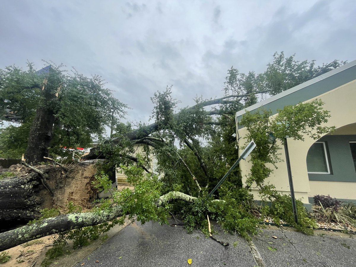 STORM DAMAGE - One neighborhood in Pensacola was hit hard by this morning's storm, including the Council on Aging. This is on Royce Street.   Crews are on site surveying the damage