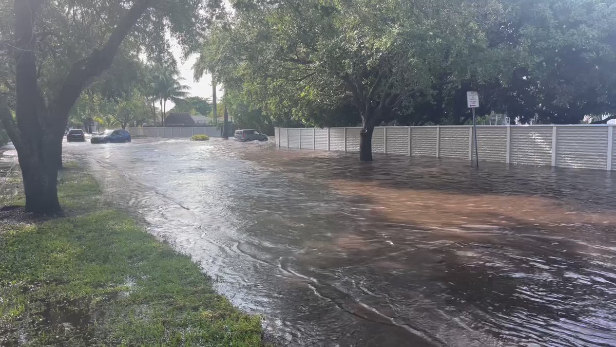 FLOODED STREETS: Heavy rain in Cutler Bay area overnight has left streets in Saga Bay covered with water. Mayor says water drains into lake at center of community, but lake is now full. Next low tide at 10:30am, hoping water will recede before next round of rain