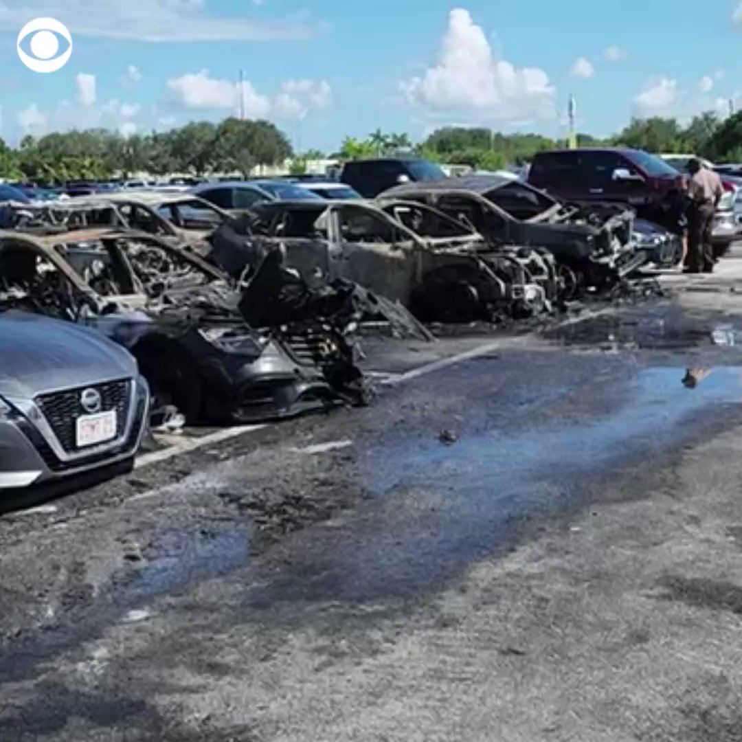 A fire broke out at a Miami Dolphins tailgate and scorched several cars outside Hard Rock Stadium on Sunday