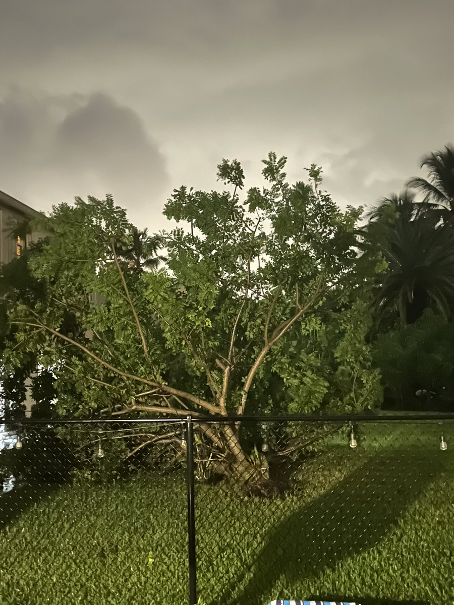 Wind got crazy just a few minutes ago in Cooper City during the tornado warning. My neighbors tree even tipped over. Winds had to be about 60 mph