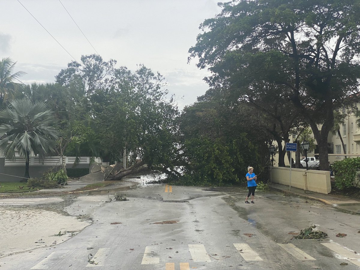 A few images from the Ian aftermath in KeyWest storm surge high water mark about 3' above street level. Trees down, power out, flooding remains