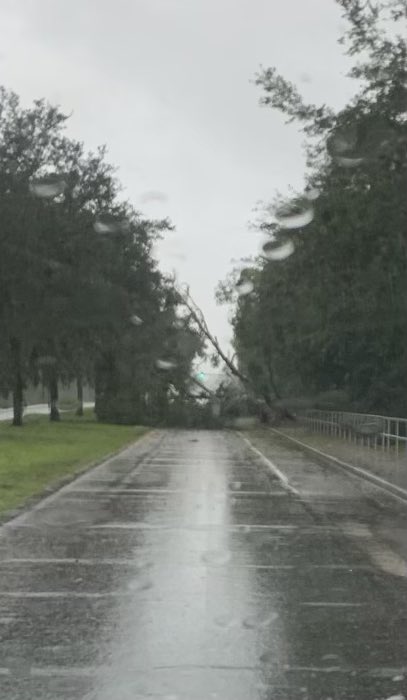 Here's a quick look at:  Stone Ridge Tr Stickney Point Bridge N Honore Avenue at Travini Circle  Deputies are still responding to calls for service but this is not the time to be on the road. This is the time to hunker down & shelter in place. Sit tight, stay safe, stay informed