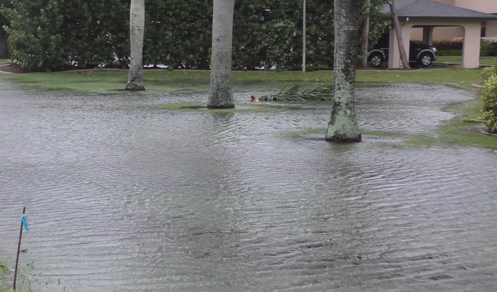 Rain and wind are already pummeling Punta Gorda, Florida as the life-threatening storm approaches.   